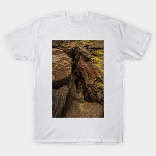 Volcanic rock 4 T-Shirt